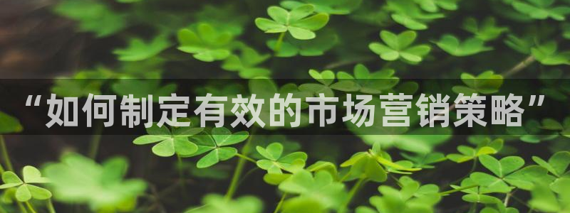 必赢网站进去