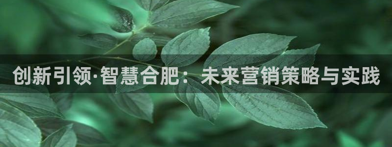 必赢资讯下载