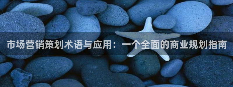 必赢下载：市场营销策划术语与应