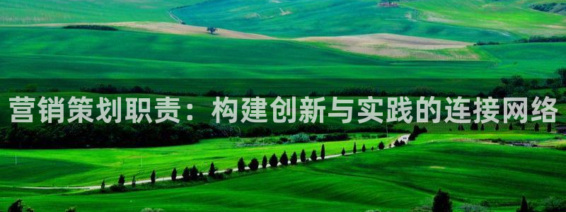 必赢网站有哪些：营销策划职责：