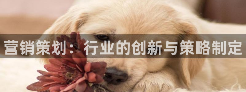 必赢集团网站是什么