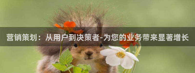 必赢网下载