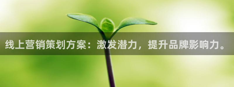 必赢国际437