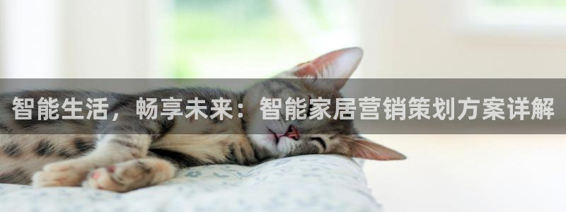 必赢首页