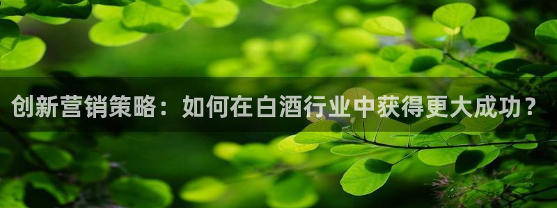 必赢平台官方客服电话：创新营销