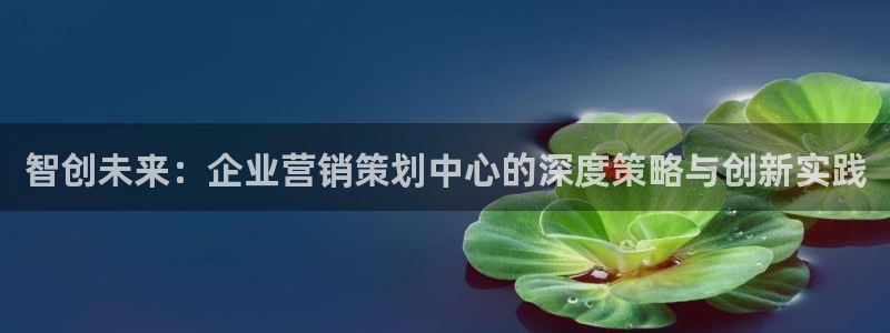 必赢网络游戏平台：智创未来：企