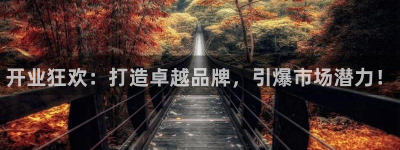 必赢棋脾9655app下载：开