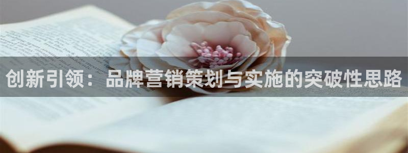 必赢7231