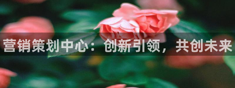 必赢网址手机主页怎么设置