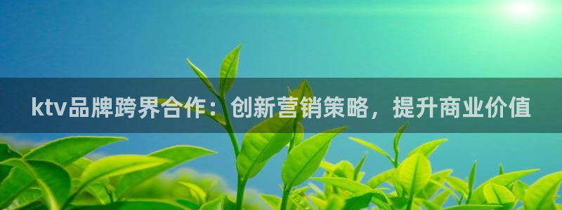 9965必赢游戏app大全