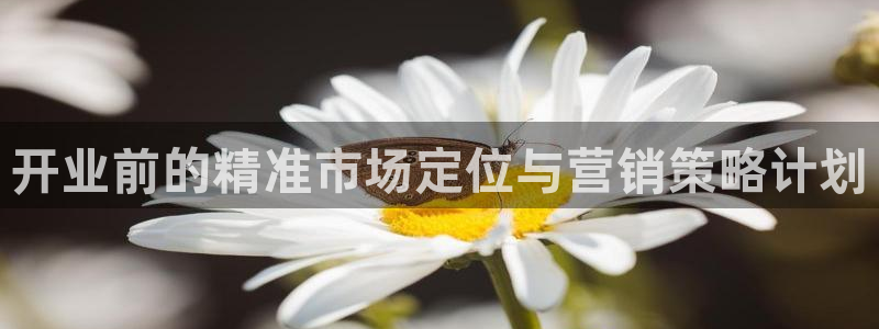 必赢官网app下载安装