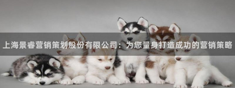 必赢亚赢网站官网下载安卓