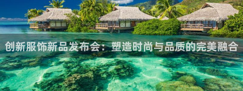 必赢app是干什么的