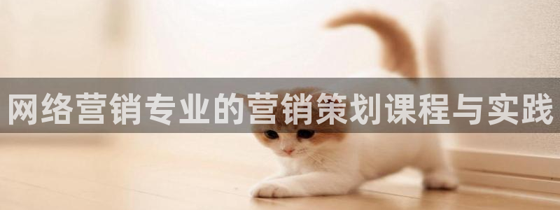 必赢网站