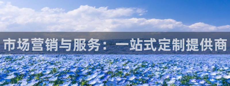 必赢宝是不是合法平台