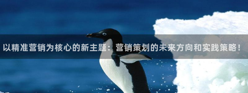 必赢棋盘9965.0版本