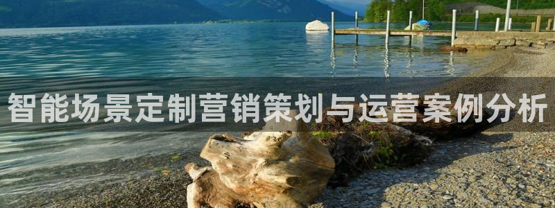 必赢网站平台登录