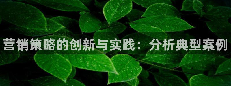必赢网址 登录