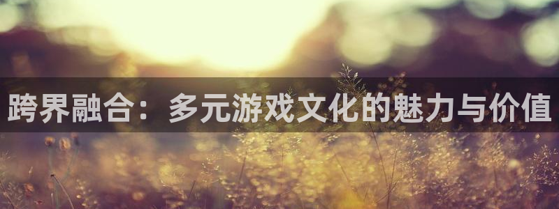 必赢官网网址多少号登录